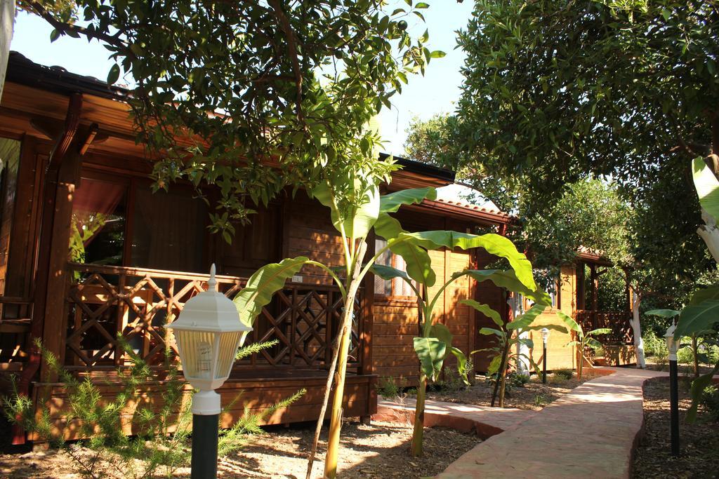 Grand Aygun Hotel Çıralı Phòng bức ảnh